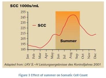 Heat Stress Takes Toll on Dairy Animal - Image 5