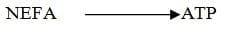 50-day Transition Period: Key Driver of Profitability - Image 5