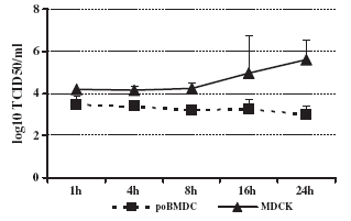 Interaction of porcine conventional dendritic cells with swine influenza virus - Image 7