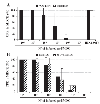 Interaction of porcine conventional dendritic cells with swine influenza virus - Image 9