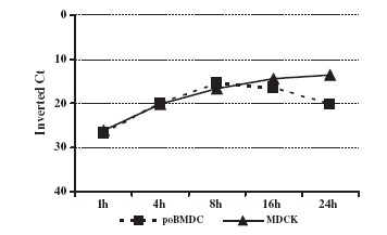 Interaction of porcine conventional dendritic cells with swine influenza virus - Image 8