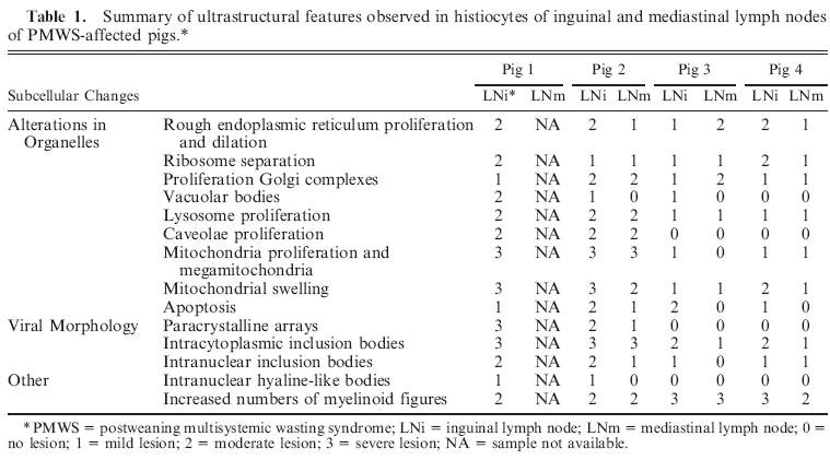 Ultrastructural Findings in Lymph Nodes from Pigs Suffering from Naturally Occurring Postweaning Multisystemic Wasting Syndrome - Image 1