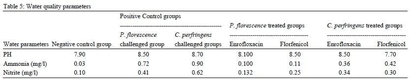 Assessment of the immune status of Nile tilapia (Oreochromis niloticus) experimentally challenged with toxogenic / septicemic bacteria during treatment trial with Florfenicol / Enrofloxacin as a method of control - Image 15