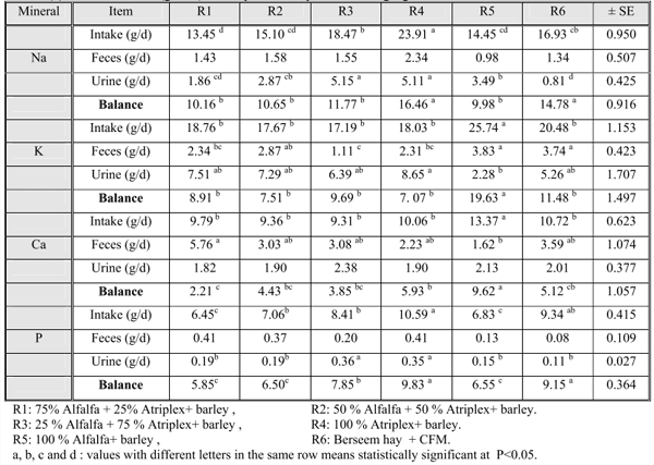 Utilization of Alfalfa and Atriplex for Feeding Sheep under Saline Conditions of South Sinai, Egypt - Image 10