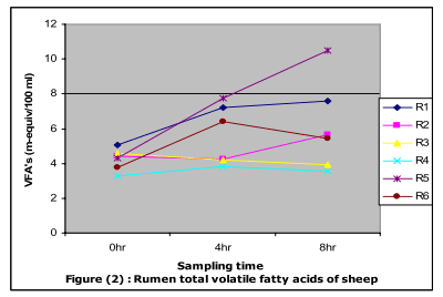 Utilization of Alfalfa and Atriplex for Feeding Sheep under Saline Conditions of South Sinai, Egypt - Image 6