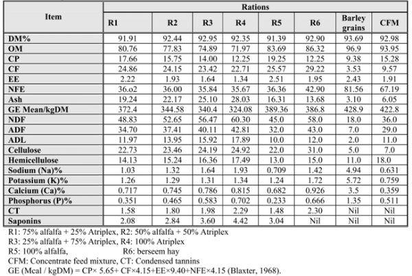 Utilization of Alfalfa and Atriplex for Feeding Sheep under Saline Conditions of South Sinai, Egypt - Image 1