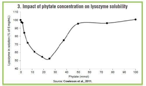 Phytate: Anti-nutrient for poultry, swine - Image 3