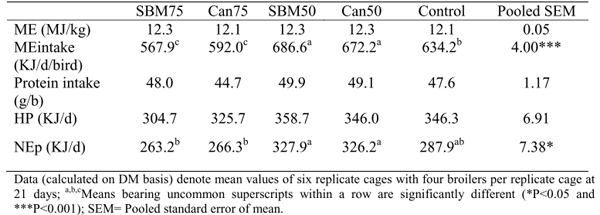 Energy Utilization and Growth Responses of Broiler Chickens on Vegetable Protein Diets - Image 2