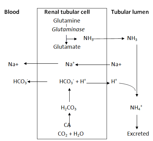 Dietary electrolyte balance in heat stressed broiler chickens - Image 5