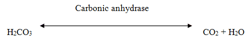 Dietary electrolyte balance in heat stressed broiler chickens - Image 1