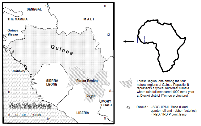 Bioconversion of palm kernel meal for aquaculture: Experiences from the forest region (Republic of Guinea) - Image 1