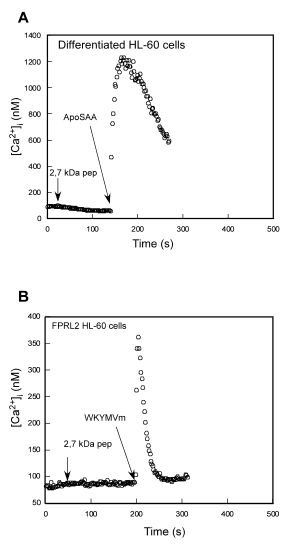Identification in milk of a serum amyloid A peptide chemoattractant for B lymphoblasts - Image 9