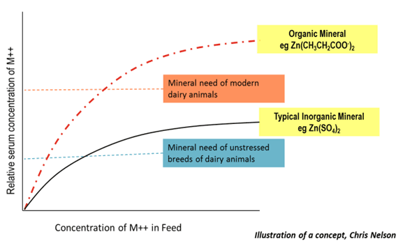 Metal Propionates: A Boon for Today’s Dairy Animal - Image 4