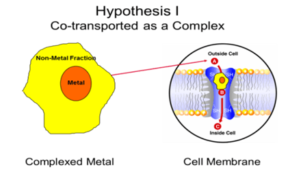 Metal Propionates: A Boon for Today’s Dairy Animal - Image 1