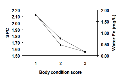 Effect of quality and frequency of drinking water on productivity and fertility of dairy buffaloes - Image 6
