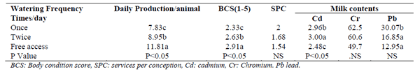 Effect of quality and frequency of drinking water on productivity and fertility of dairy buffaloes - Image 5