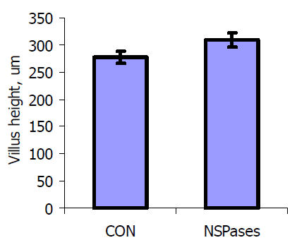 Bio-fermentation Technology to Improve Efficiency of Swine Nutrition - Image 8