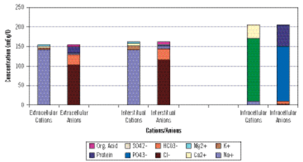 Advantages of optimising dietary electrolyte balance - Image 1