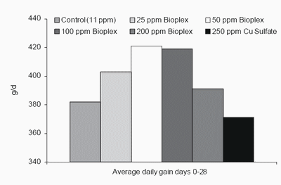 A closer look at inorganic and organic copper and zinc supplementation in nursery pig diets - Image 1