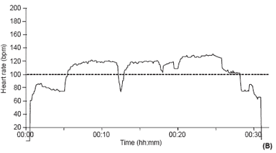 A novel, knowledge-based concept for performance diagnosis and training adjustment in horses - Image 2