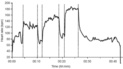 A novel, knowledge-based concept for performance diagnosis and training adjustment in horses - Image 3