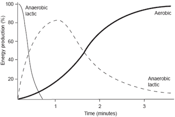 A novel, knowledge-based concept for performance diagnosis and training adjustment in horses - Image 4