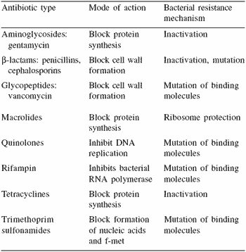 Multiple antibiotic resistance: what is the cure? - Image 1