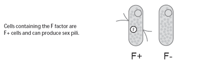 Multiple antibiotic resistance: what is the cure? - Image 3