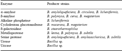 Production of enzymes for the feed industry using solid substrate fermentation - Image 2