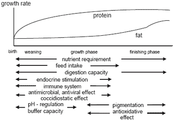 Herbs, spices and botanicals: ‘Old fashioned’ or the new feed additives for tomorrow’s feed formulations? Concepts for their successful use - Image 2