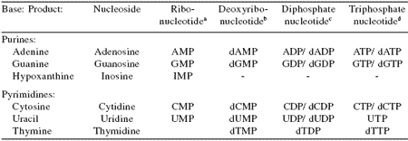 Nucleotides and young animal health: can we enhance intestinal tract development and immune function? - Image 2