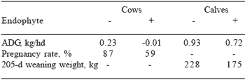 Continuing livestock production from endophyte-infected tall fescue and perennial ryegrass: recent studies with a toxin adsorbent - Image 3
