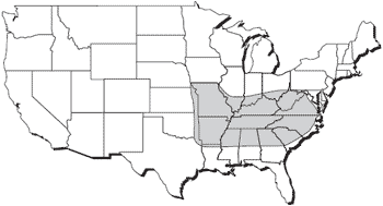 Evaluation of a carbohydrate-based adsorbent for controlling intoxication associated with endophyte-infected pasture grasses - Image 1