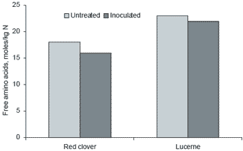 Understanding the processes of protein degradation in forage crops provides opportunities for improved silage quality and enhanced animal production - Image 8
