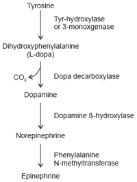 The role of trace minerals in immunity and lipid metabolism in cattle - Image 1