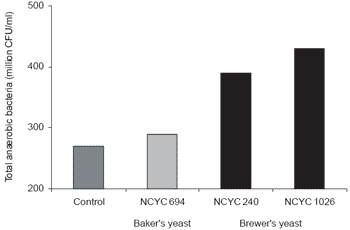 Some milestones in our understanding of yeast culture supplementation in ruminants and their implications in animal production systems - Image 7
