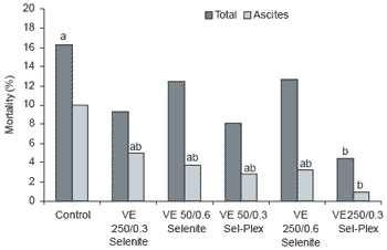 Effect of dietary antioxidants on the incidence of pulmonary hypertension syndrome in broilers - Image 9
