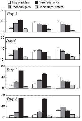 Critical care: early nutrition in poultry - Image 1