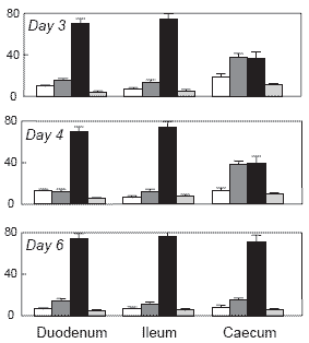 Critical care: early nutrition in poultry - Image 2