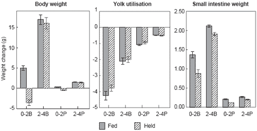 Critical care: early nutrition in poultry - Image 4