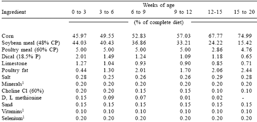 Mannan oligosaccharides versus antibiotics for turkeys - Image 1