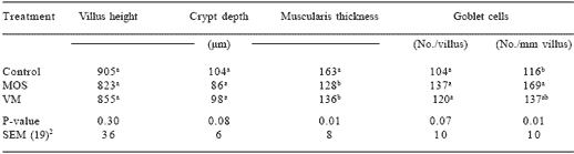 Mannan oligosaccharides versus antibiotics for turkeys - Image 10