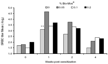 Manipulating the immune system of layers and breeders: novel applications of mannan oligosaccharides - Image 1