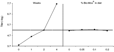 Manipulating the immune system of layers and breeders: novel applications of mannan oligosaccharides - Image 6