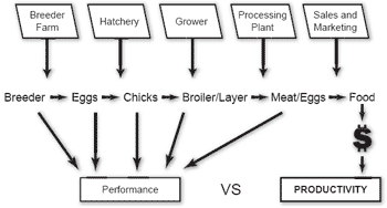 The value of understanding total productivity - Image 1