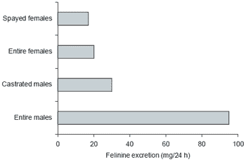 Dietary protein – from amino acid supply to bioactive peptides - Image 1