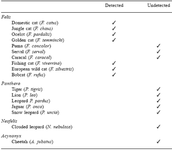 Dietary protein – from amino acid supply to bioactive peptides - Image 2