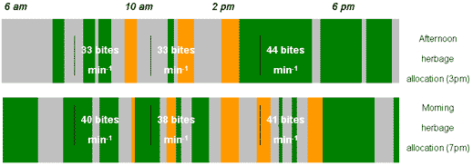 Open the new strip during the afternoon enhances daily weight gains (Linking pasture and animal processes) - Image 2