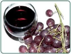 Ochratoxin A in beverages - Image 1