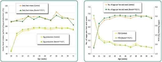 Biomin Scientific trial with phytogenics in Lohmann Brown commercial layers - Image 2